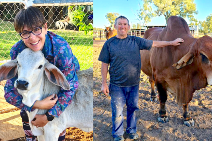 House sitter hugging a white cow next to another house sitter patting a brown cow
